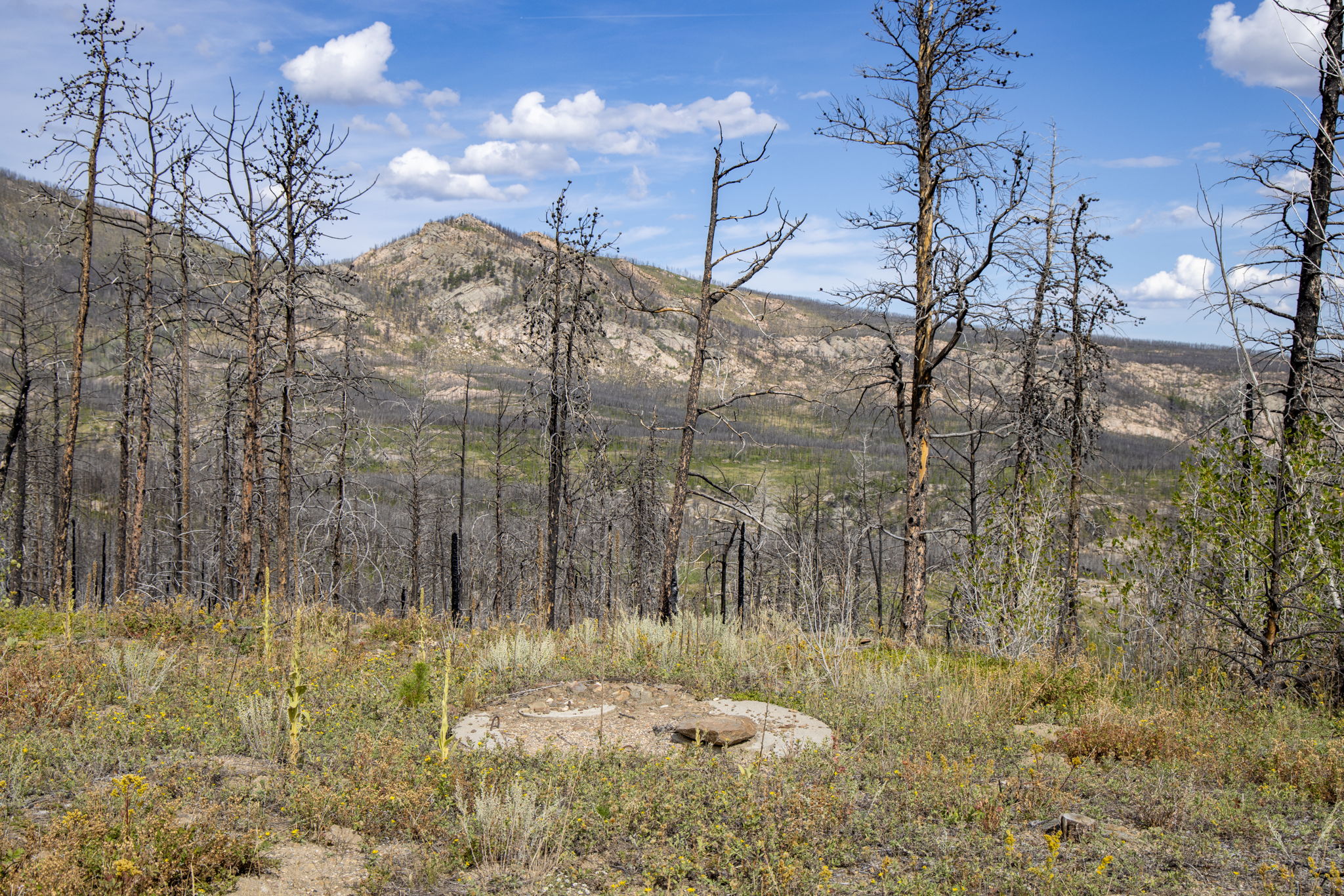  Photo 20