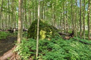  Photo 47