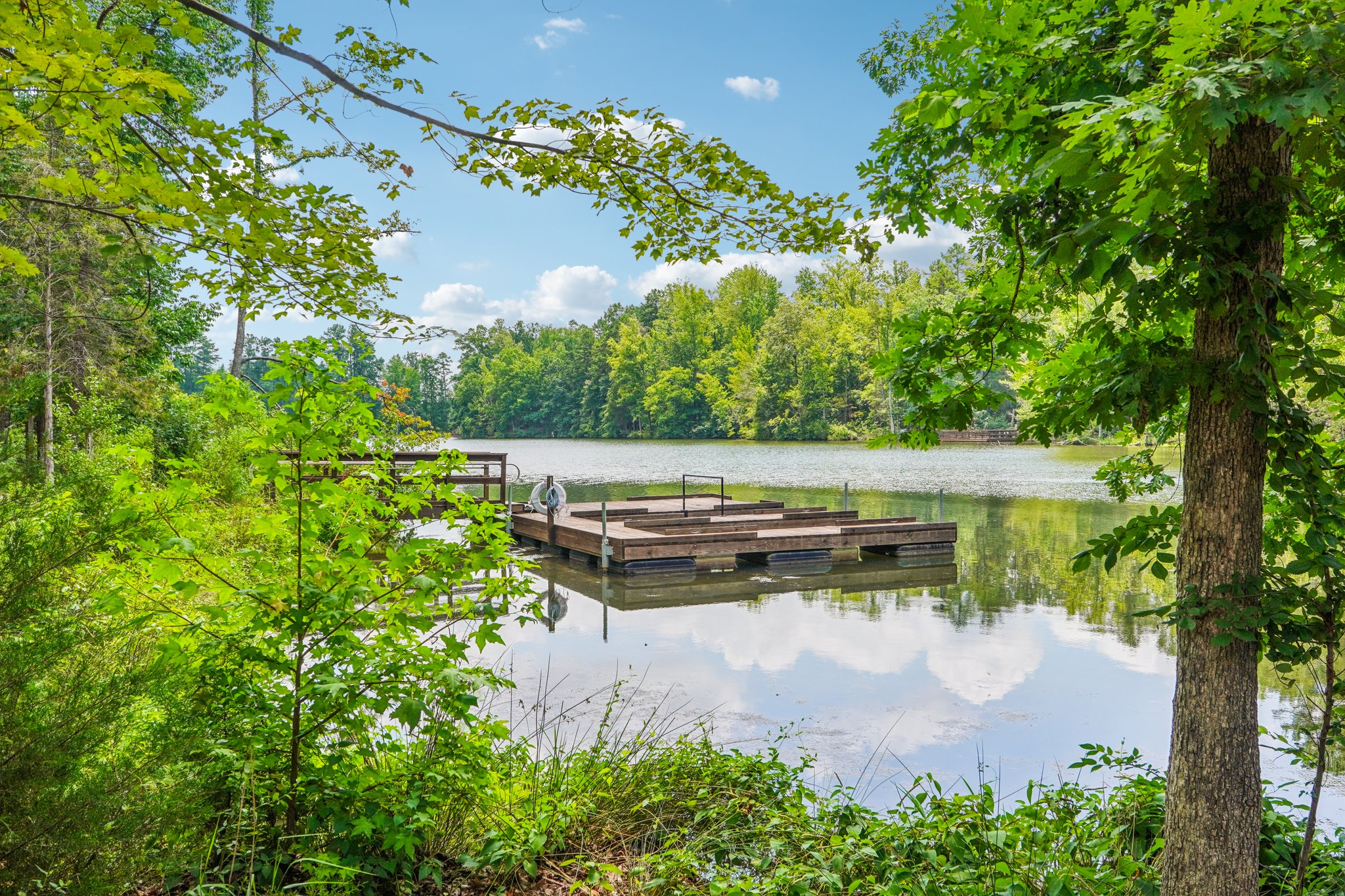 Asher Chase Trl-0208-916.jpg