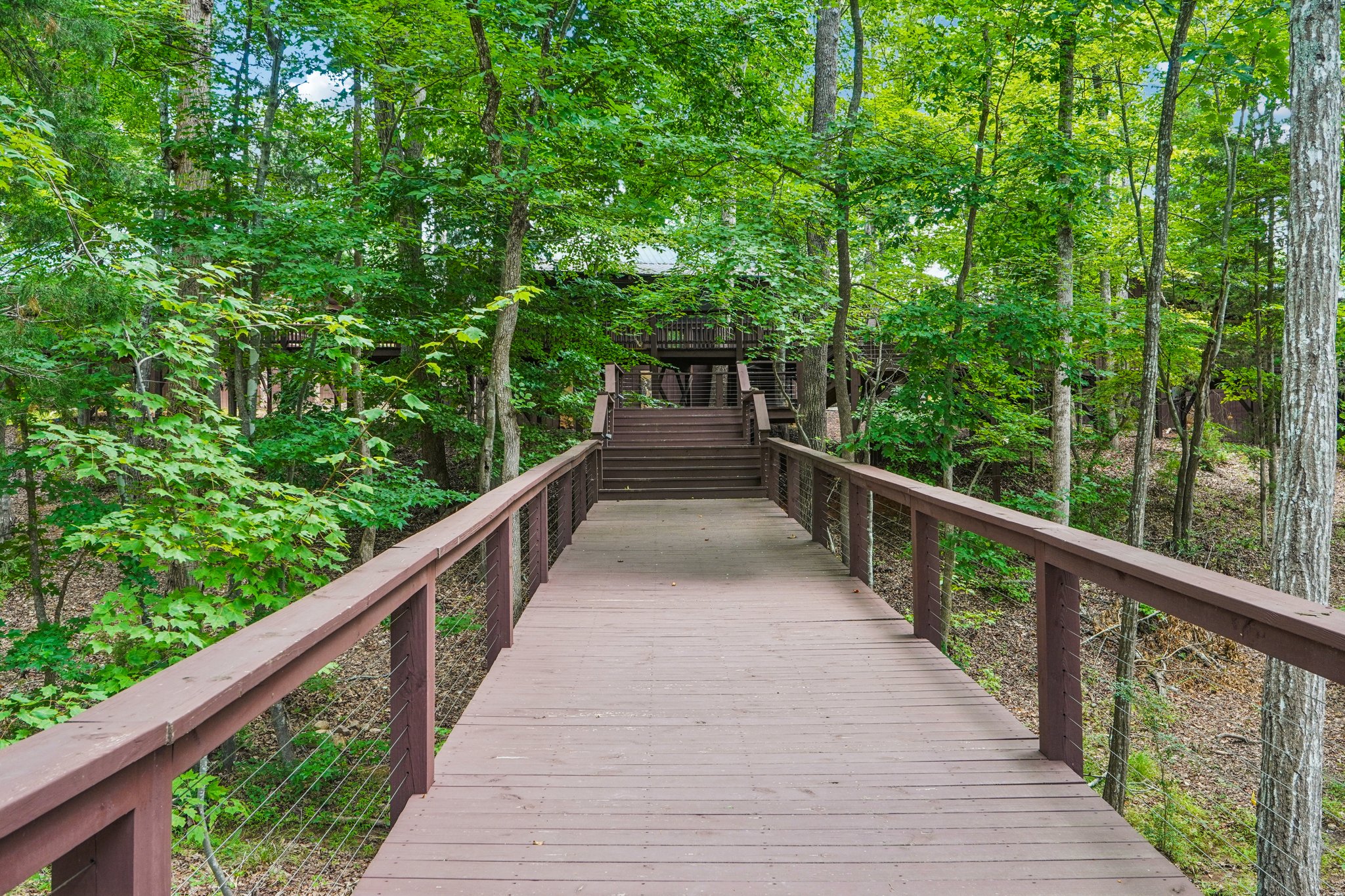 Asher Chase Trl-0208-917.jpg