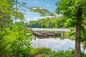 Asher Chase Trl-0208-916.jpg