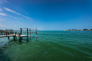 Dock and Water View1