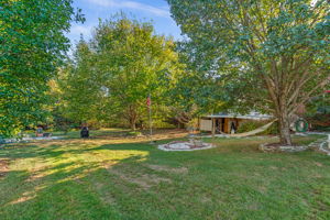 Side Yard and Fire Pit