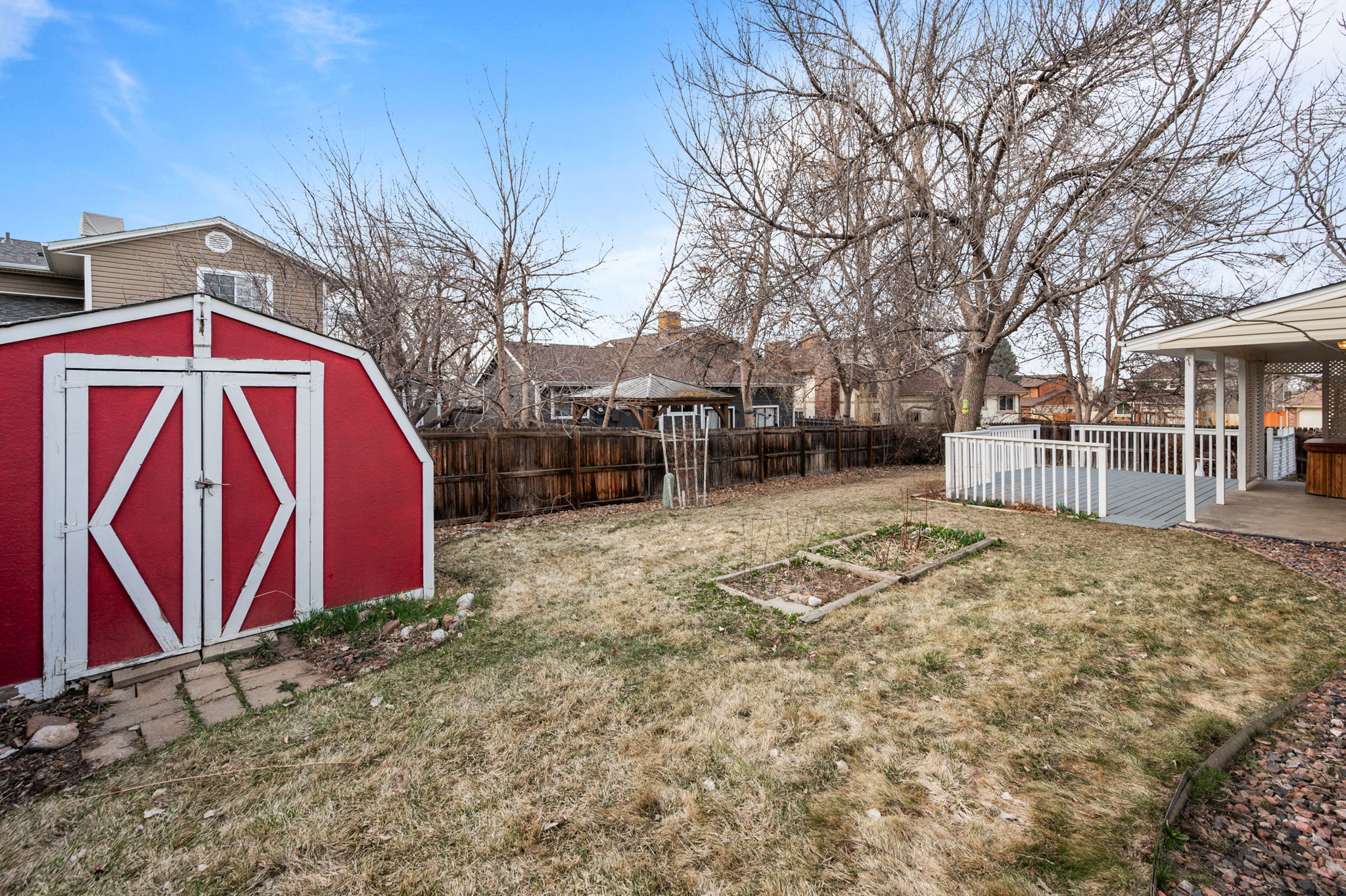 Back Yard