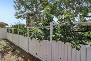 Myrtle St-S2807-033.jpg