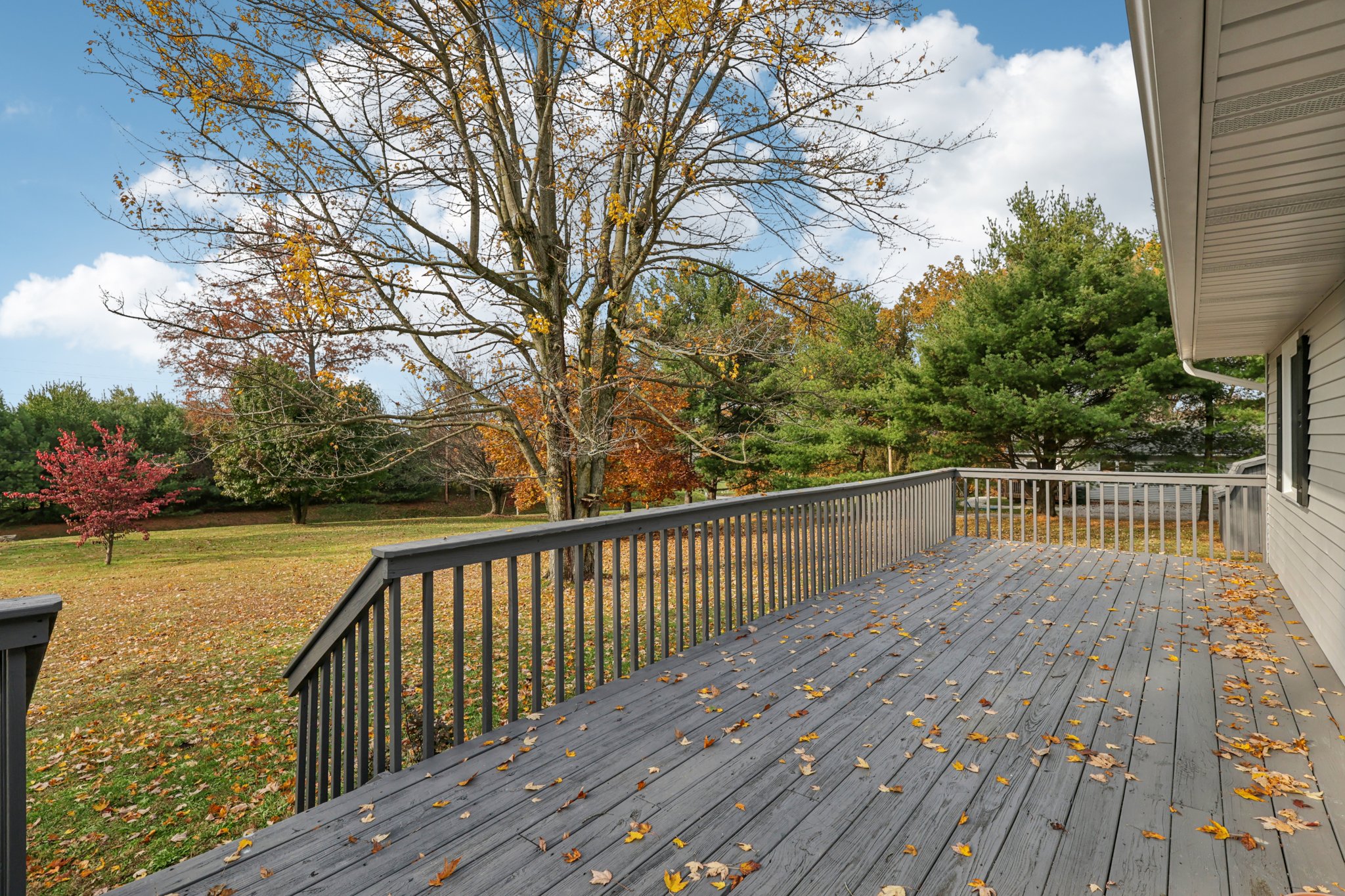 County Rd 318-S0911-007.jpg