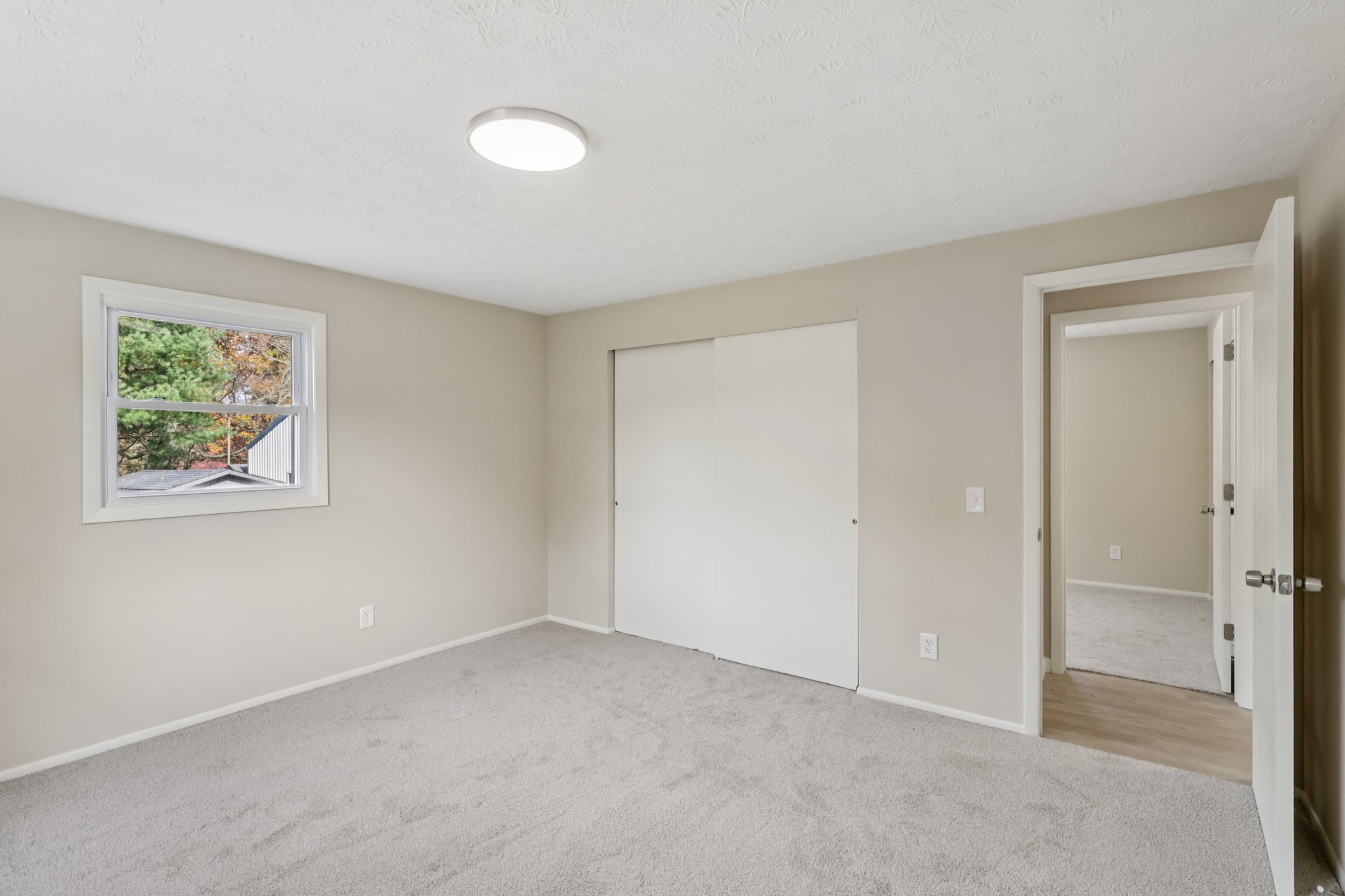 County Rd 318-S0911-036.jpg