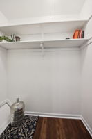 Shiloh Cir-L0903-037