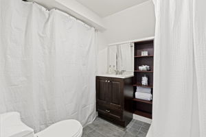 Lower-Level Bathroom