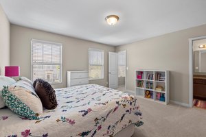 809 Summerlake Dr, Fort Mill, SC 29715, USA Photo 33