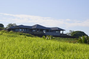 PRINT_HokuliaLot184_01