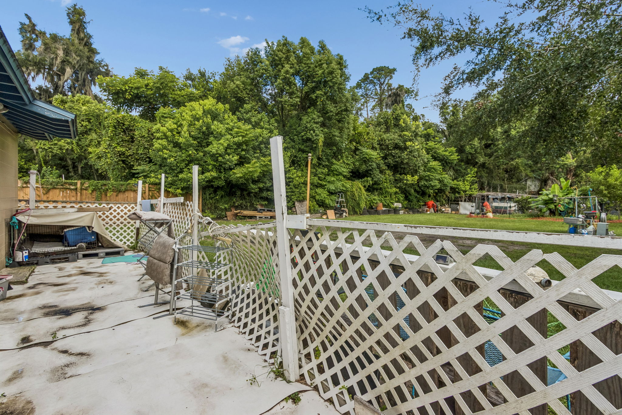 Backyard