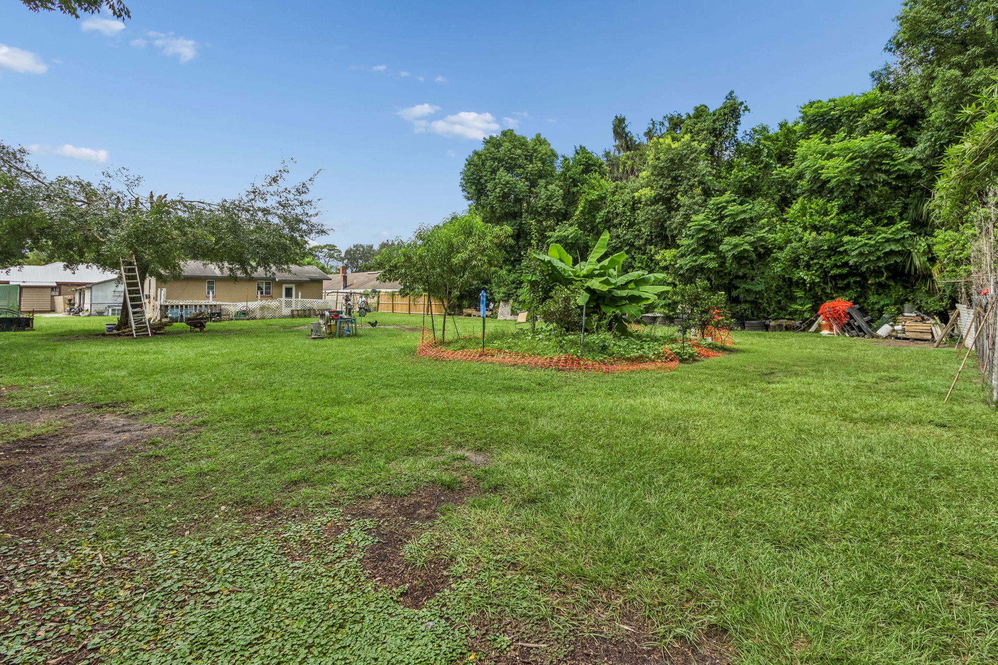 Backyard