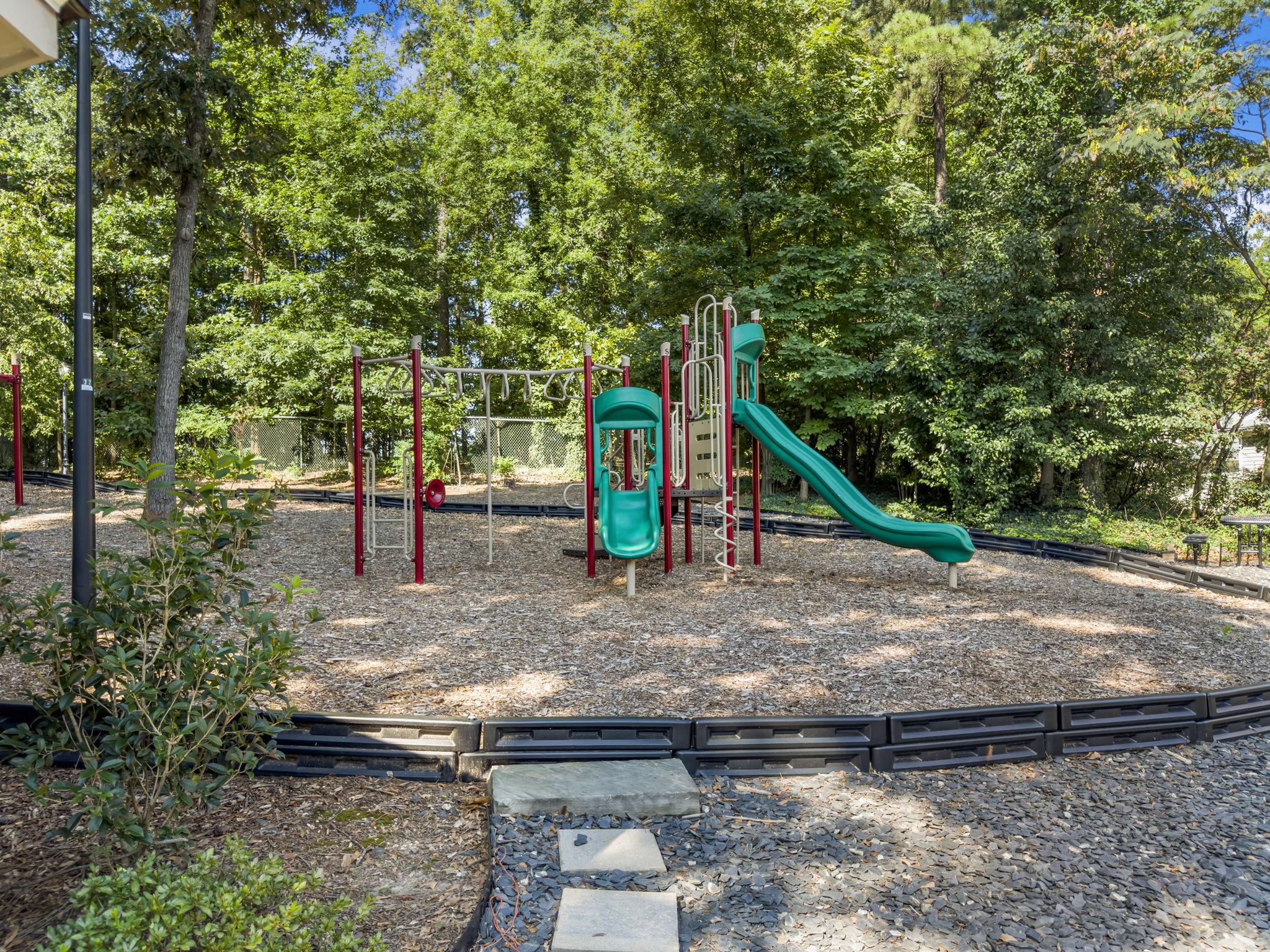  Photo 61