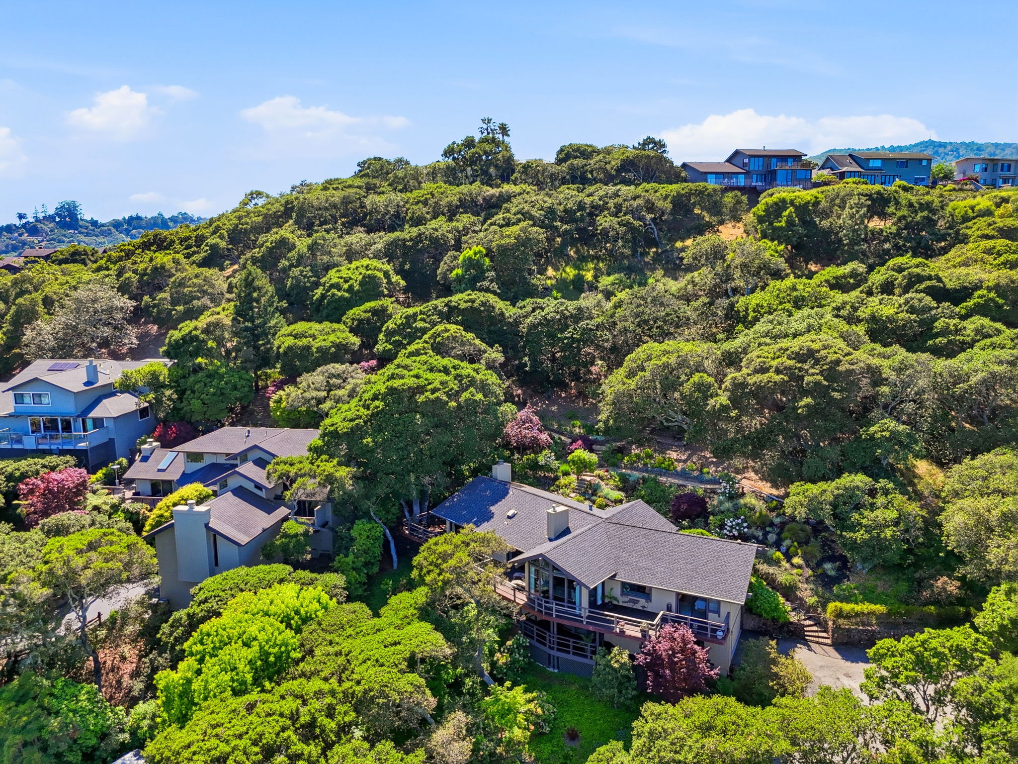 009_f8_AERIAL_81 Peacock Dr