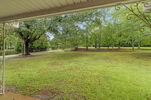 Front Porch View