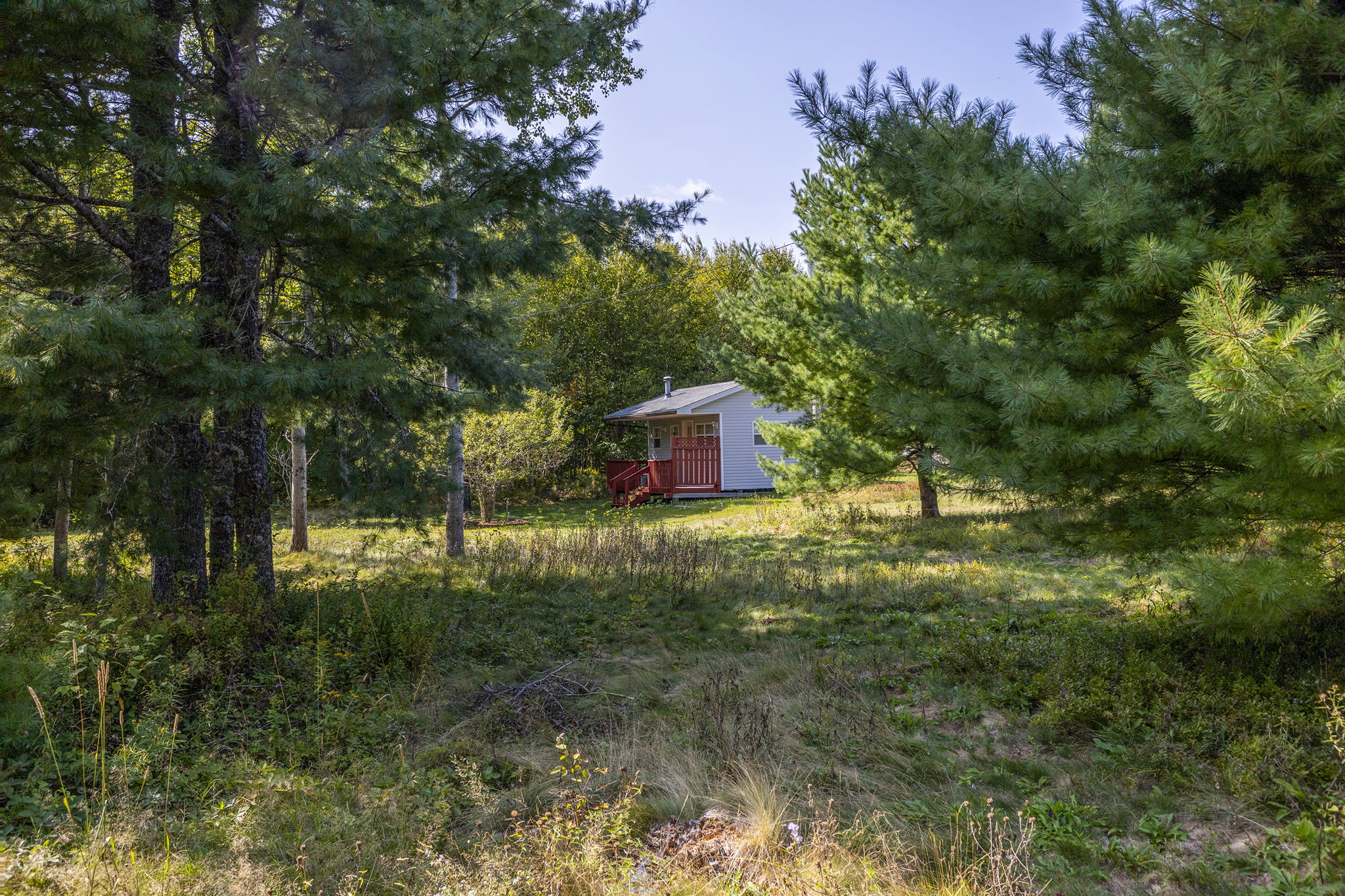  Photo 41