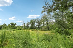 81 Titus Mill Rd-S0708-033.jpg