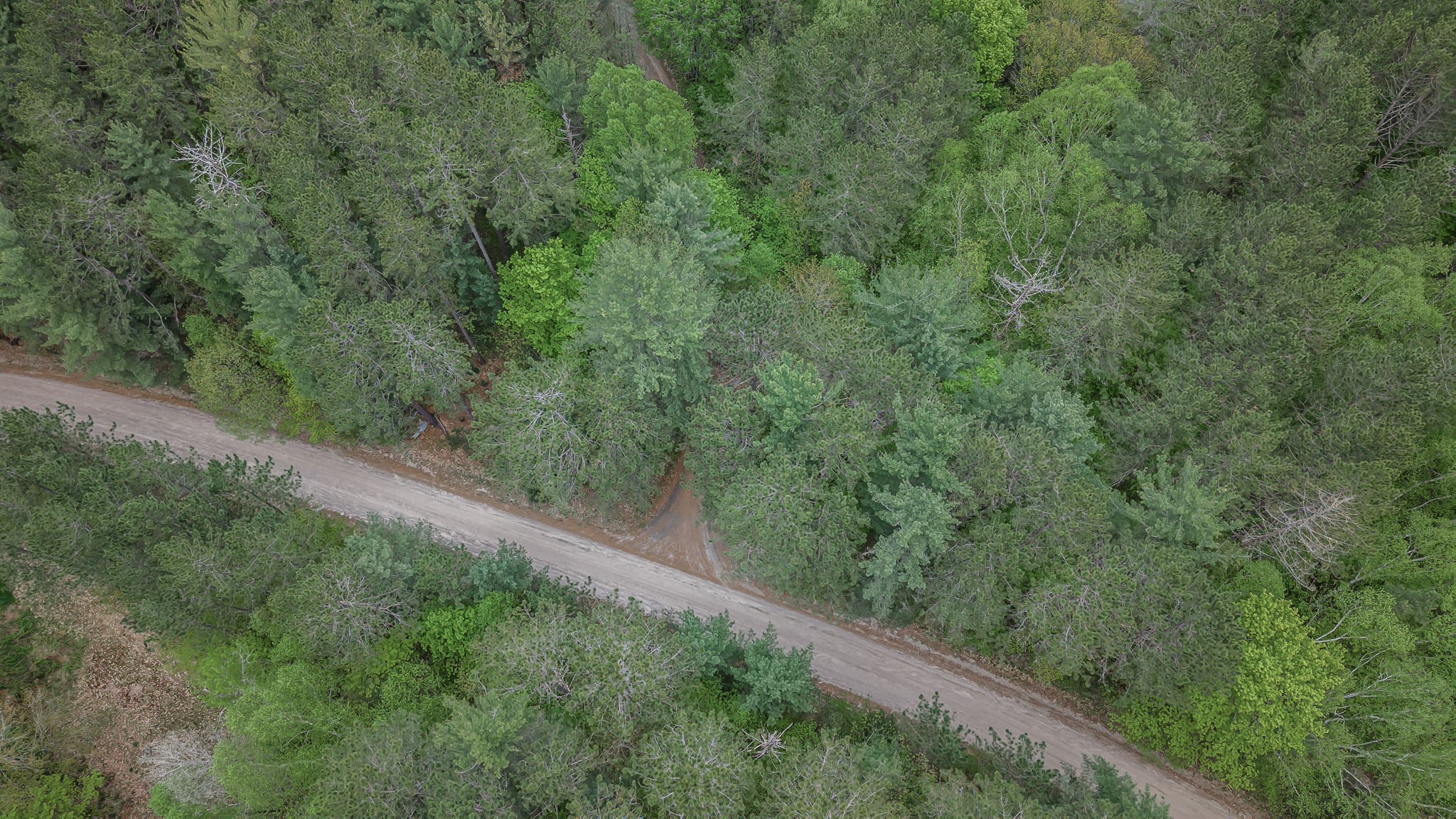 81 Wind Rose Lane (95)