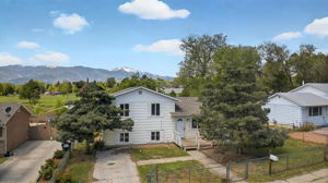  Photo 0