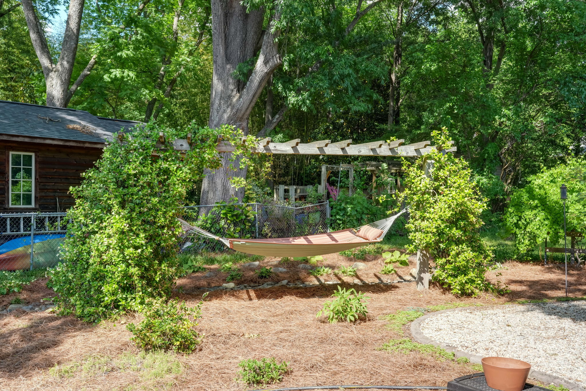 Back Yard