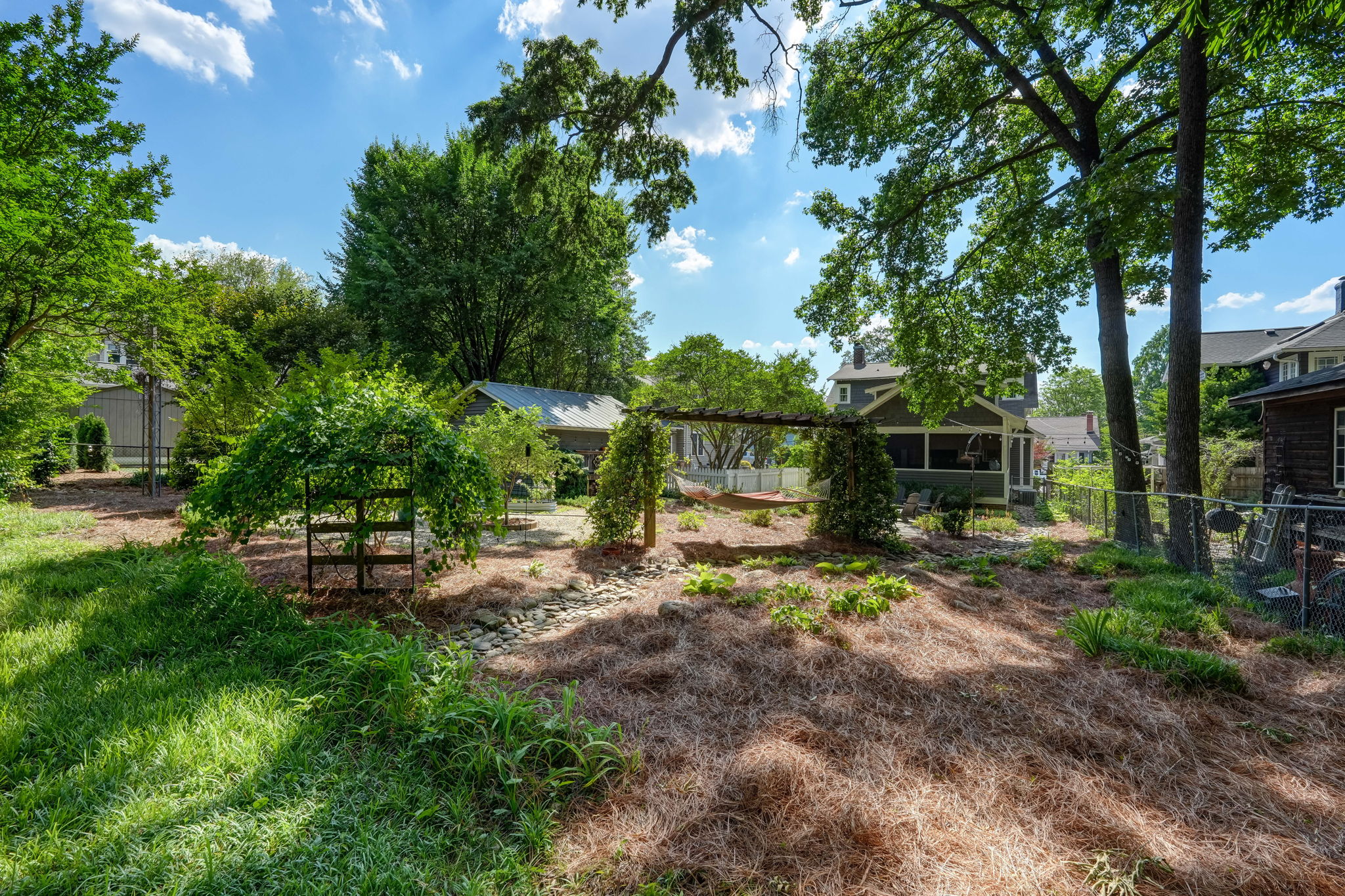 Back Yard