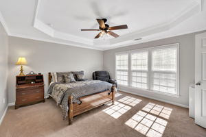 Tray Ceiling in Master Bedroom overlooking back yard