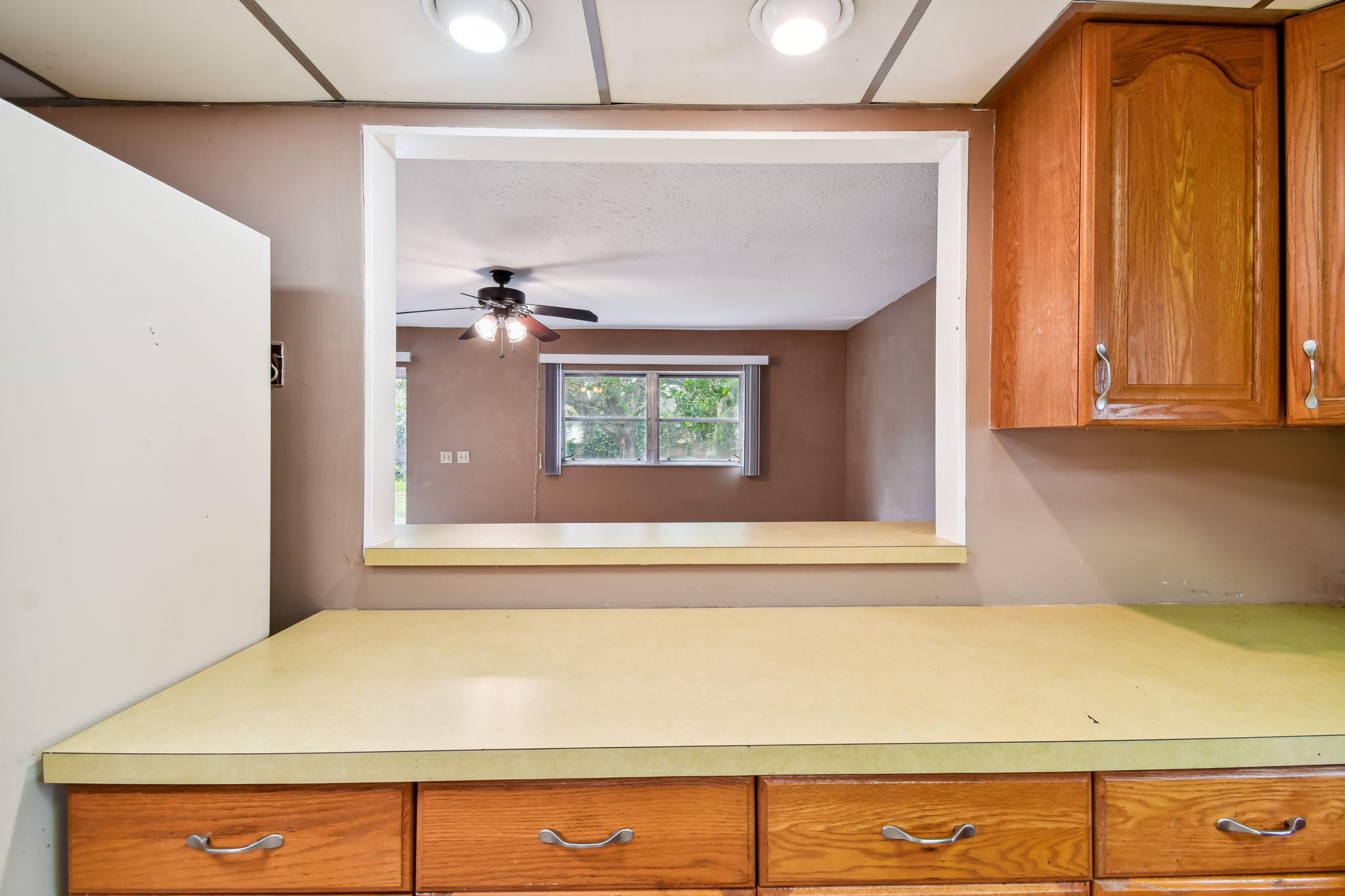 DSC_0449