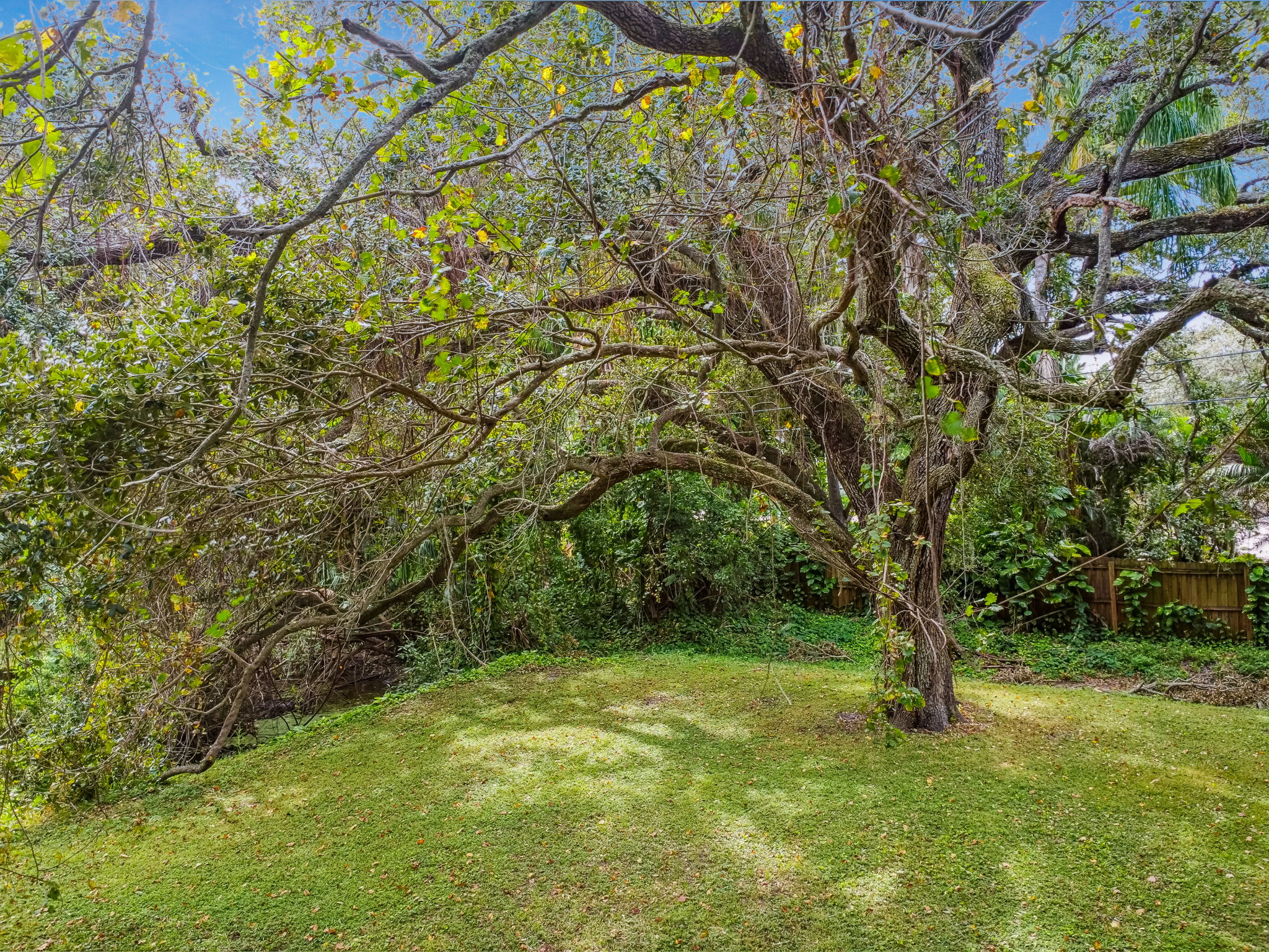 DJI_0472