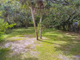 DJI_0448