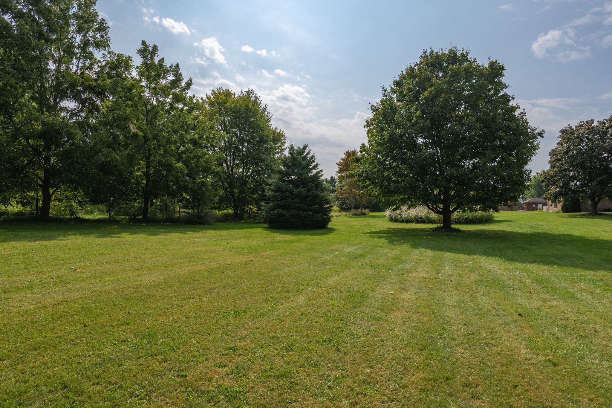 Photo 47