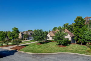 Front Yard