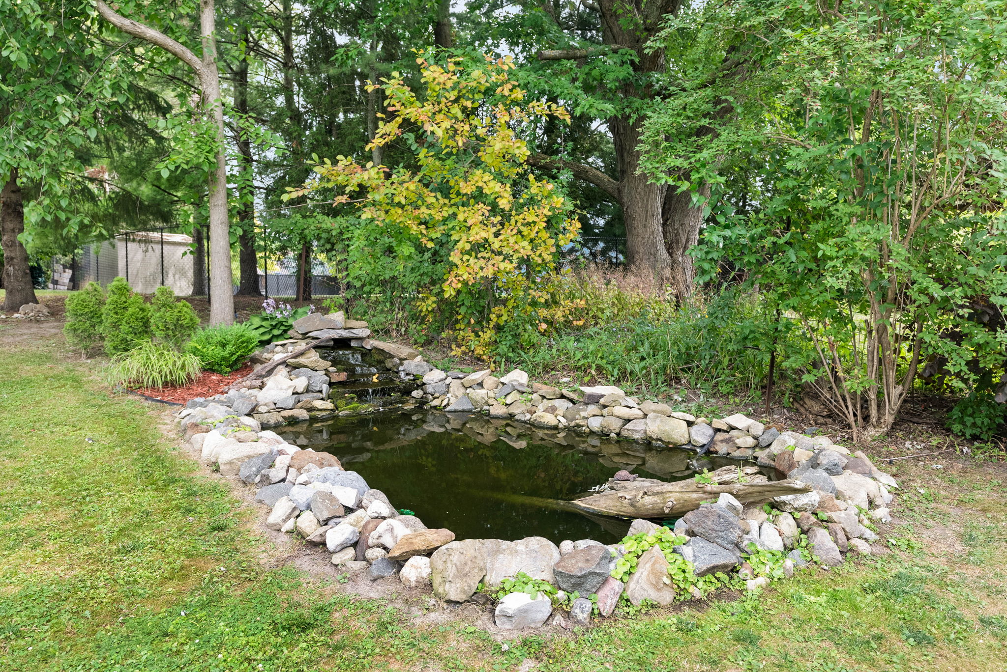  Photo 46