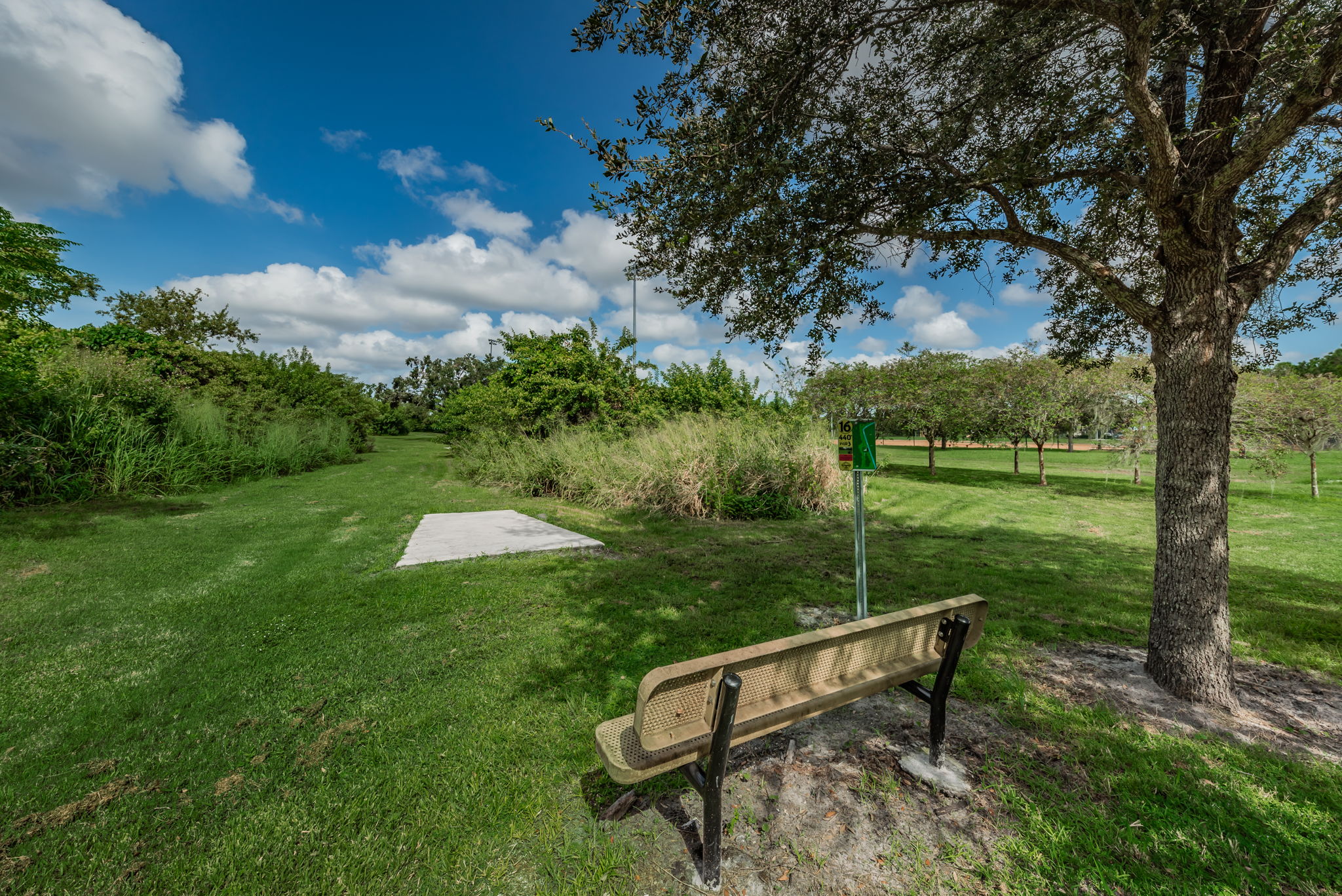 13-Sheffield Park Disc Golf