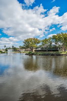 Backyard Water View2