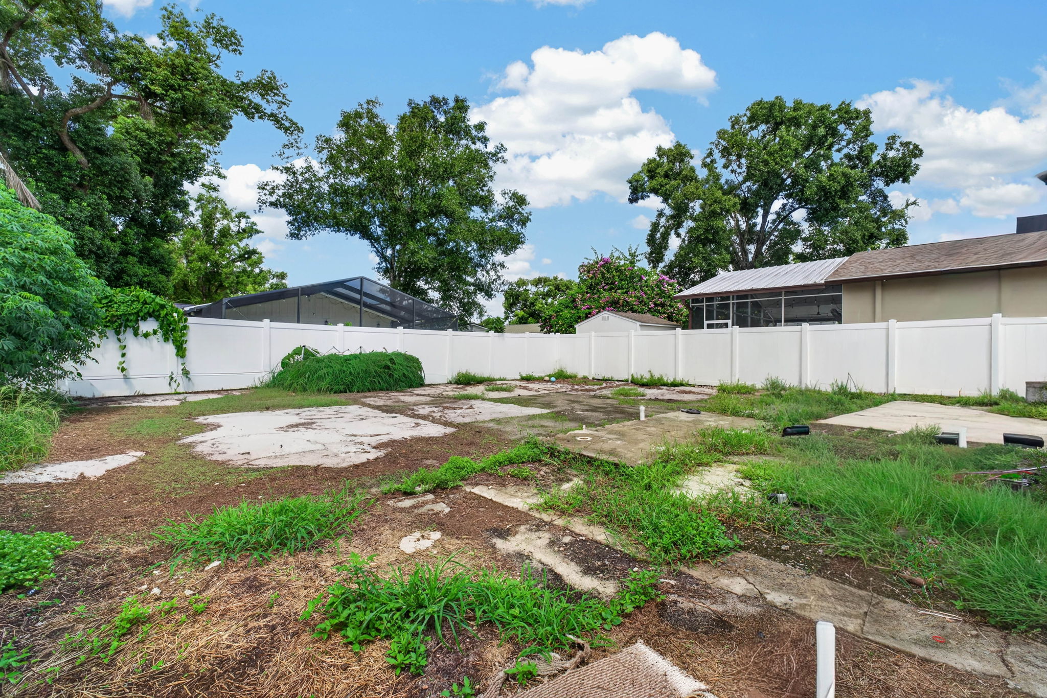  Photo 54