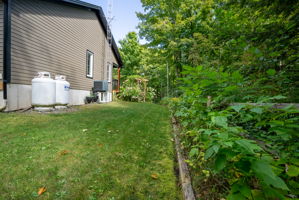  Photo 53
