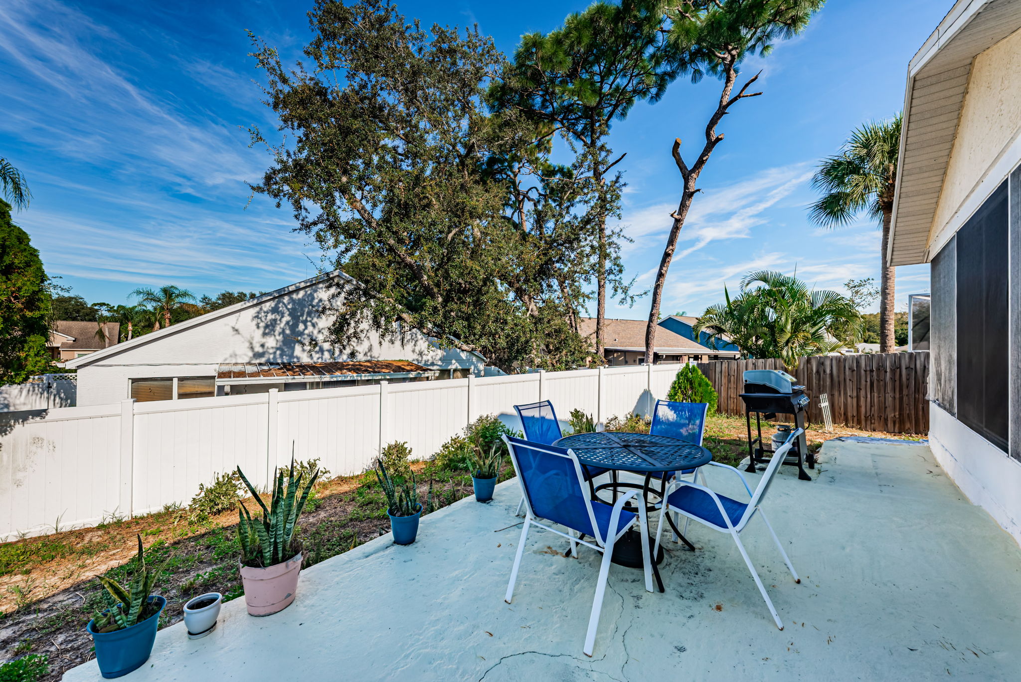 Back Patio 1