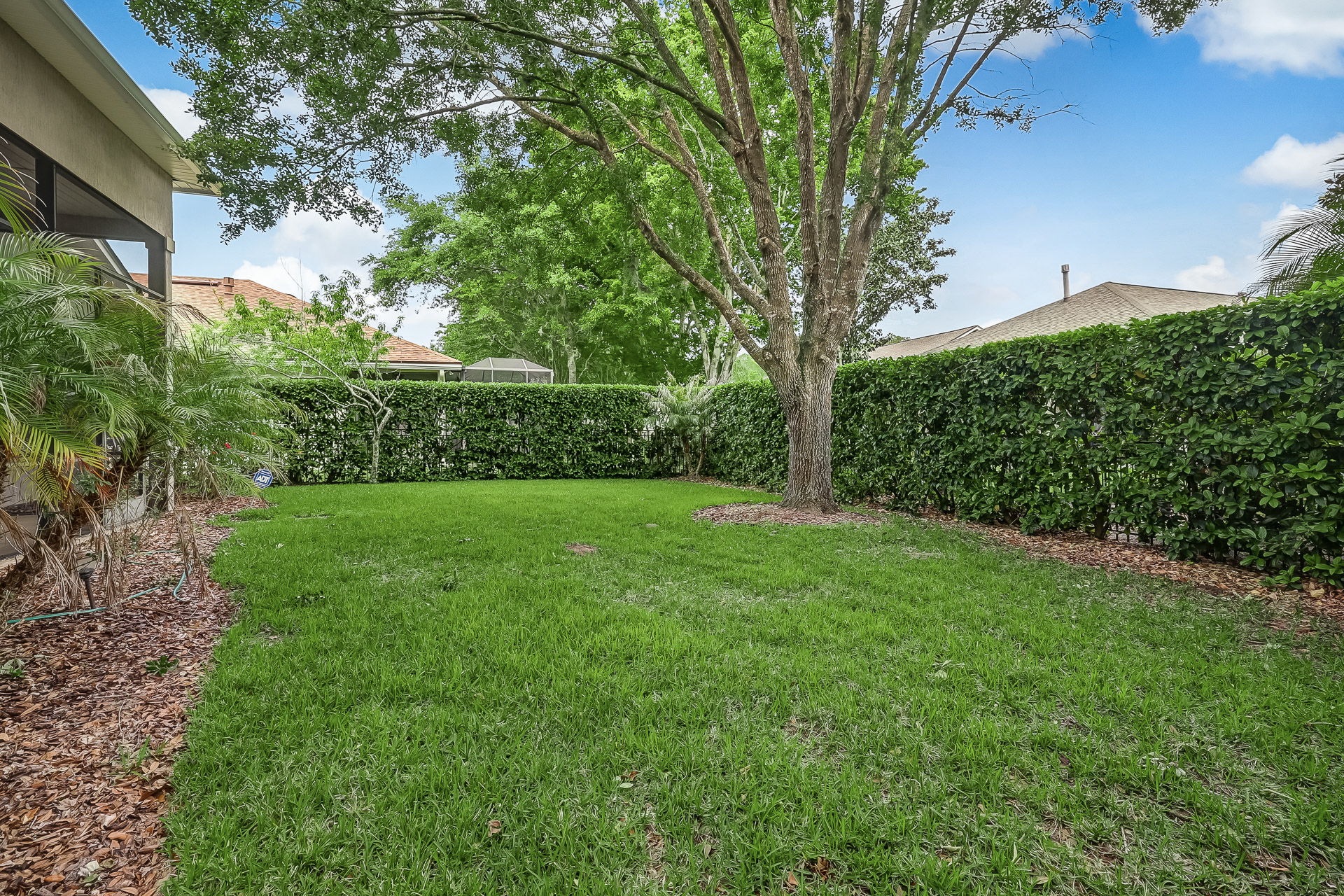 Backyard