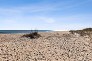 Beach Access #9