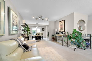 Large Living Room