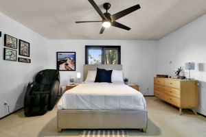 Primary Main Floor Bedroom