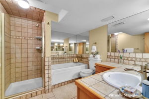 Basement Bathroom with Jetted Tub