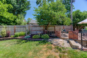 19 Backyard