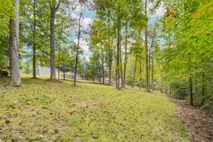 Beech Tree Pl-S0710-050.jpg