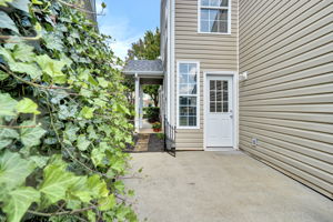  Photo 49