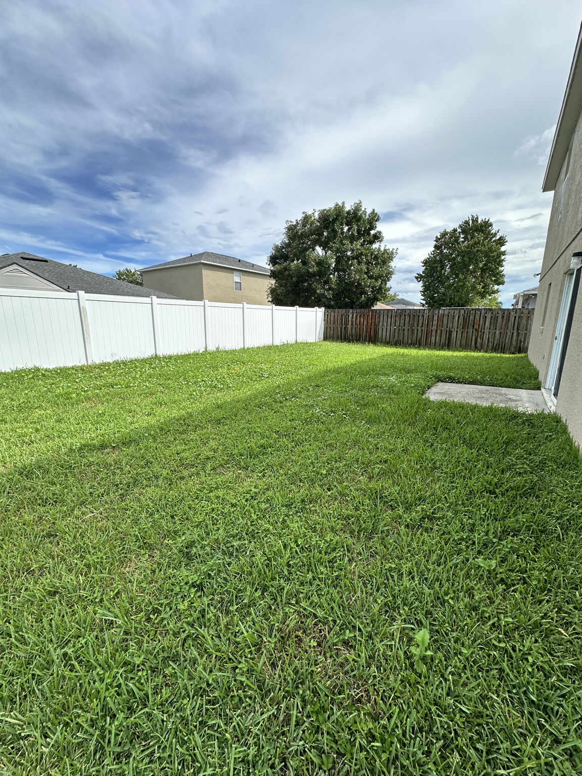 Partially fenced backyard