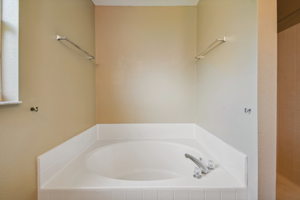 Garden tub and separate shower in master bath