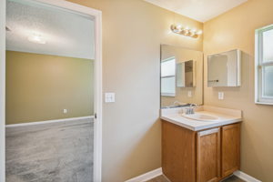 Master bathroom vanity area