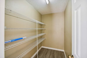 Huge walk-in pantry in kitchen